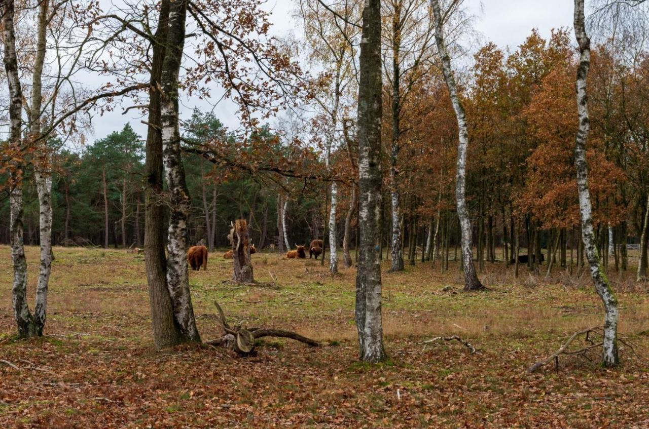 "Dennenhuisje" Op Bospark Ijsselheide Hattemerbroek المظهر الخارجي الصورة