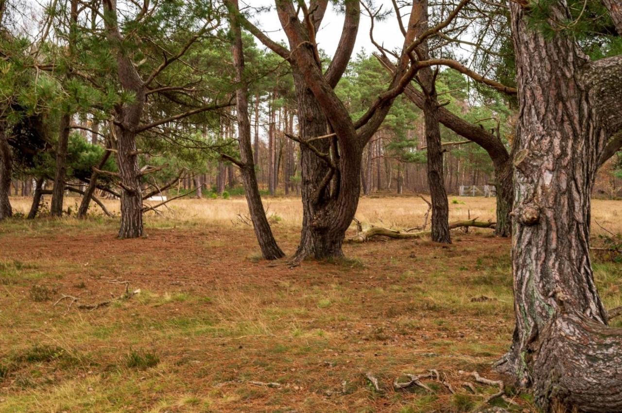 "Dennenhuisje" Op Bospark Ijsselheide Hattemerbroek المظهر الخارجي الصورة