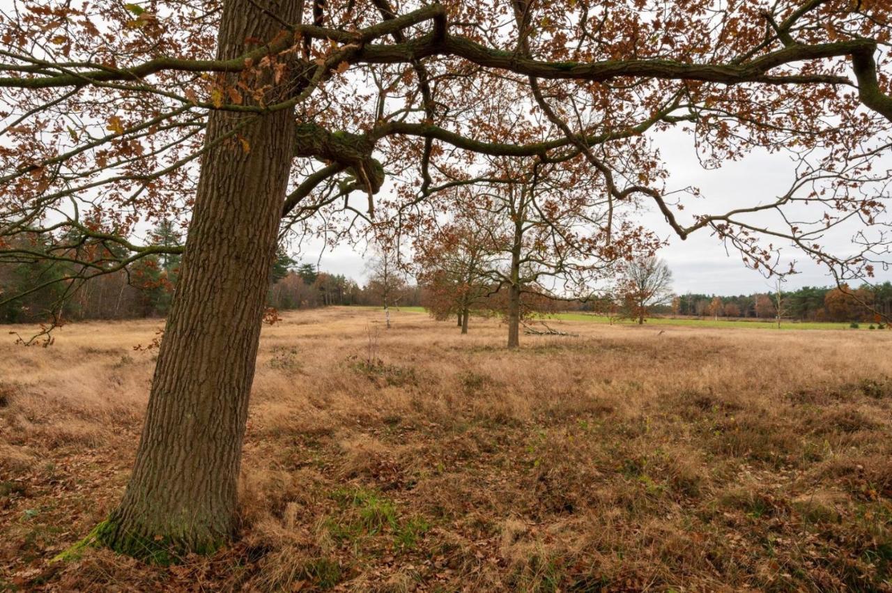"Dennenhuisje" Op Bospark Ijsselheide Hattemerbroek المظهر الخارجي الصورة