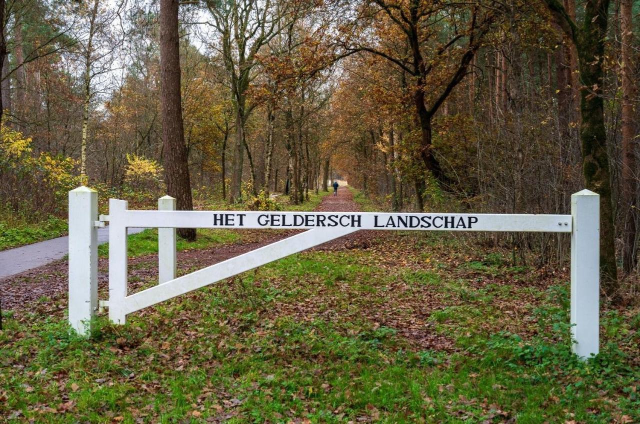 "Dennenhuisje" Op Bospark Ijsselheide Hattemerbroek المظهر الخارجي الصورة